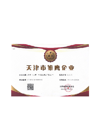 雏鹰企业证书