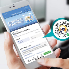 视频化