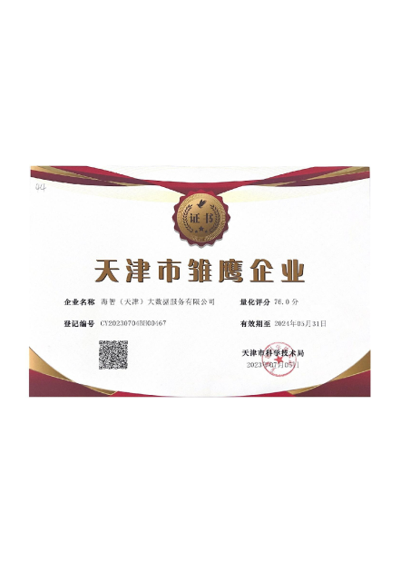 雏鹰企业证书